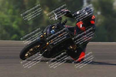 media/Sep-20-2025-TrackDaz (Sat) [[27f0cde673]]/B Group/1120am (Turn 2)/